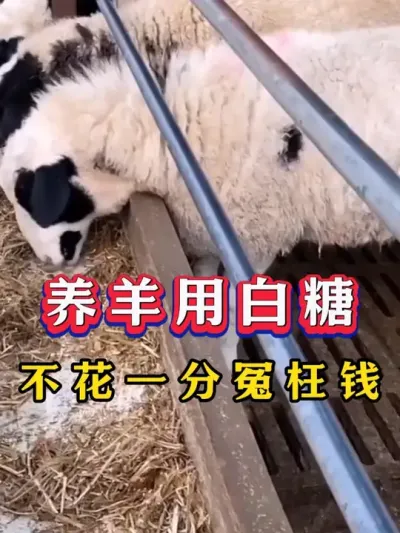 ðһԩǮ##ũ# #ֳ # # #ũ