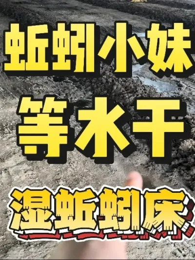 处理好蚯蚓床之后一定得等水干，不要着急马上放蚯蚓#蚯蚓养殖 #三农 #农村创业