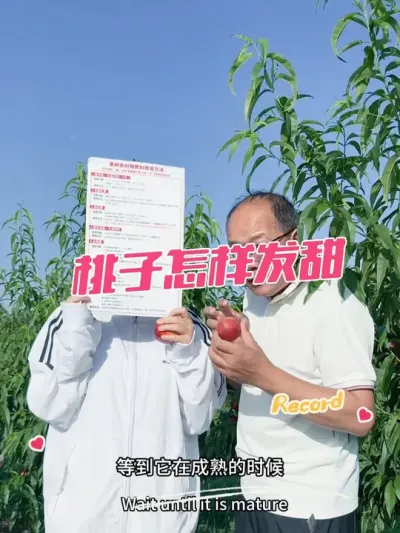 Ӵ ŻǮ# # #
