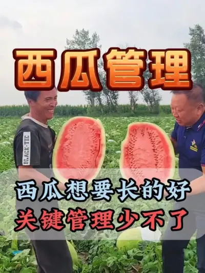 ҪúҪٲ #ݪֲ # #¶ #Ϲ #ڶֵĺù