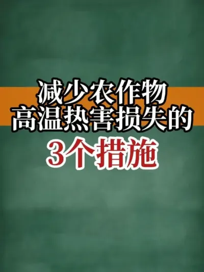 ̭ũȺʧ3 #Ⱥ #Ʒ #ɹ #ũ2025 #ũ
