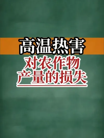 Ⱥũʧ֪ # #¶Ӱ #ũ2025 #ũ #ũ