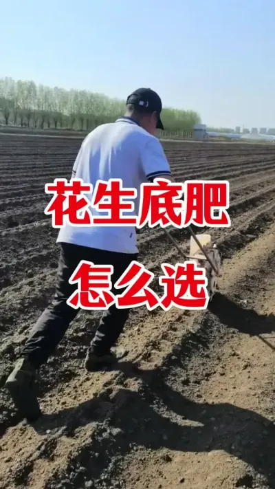 花生底肥怎么选#花生种植 #花生底肥 #花生高产种植 #花生高产管理#花生