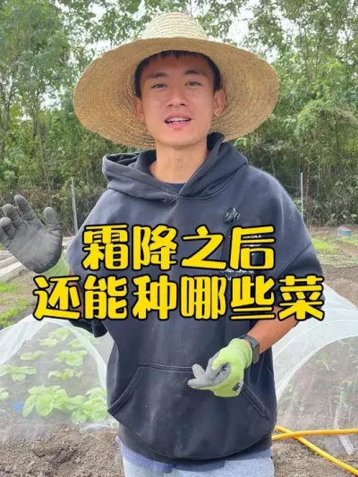 霜降之后还能种哪些蔬菜？ #霜降#学种菜 #关注我一起学种菜 #霜降节气 #种菜种菜