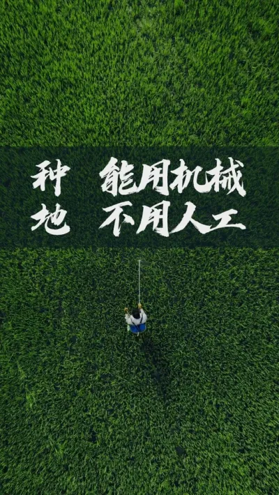 包田种地，请的人越多，亏的就越多。 #农业 #农村 #农民 #三农 #水稻 #油菜 #小麦 #玉米 #种粮 #种地 #种田 #稻谷 #粮食 #种植 #农资 #农技 #春耕 #肥料 #化肥 #新农人 #