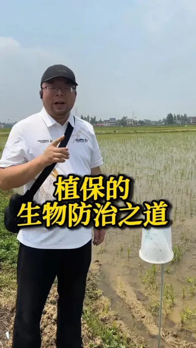 植保的生物防治之道 #种之道 #水稻种植技术 #高产 #水稻病虫害防治 #新农人计划
