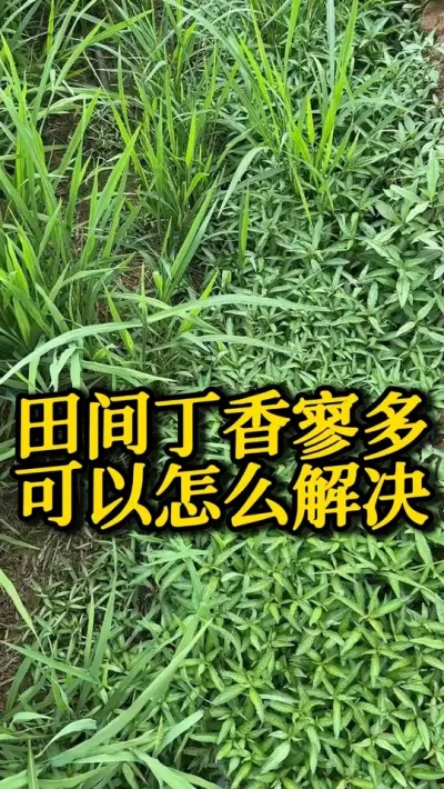 䶡ȶô #֮ #ˮݪֲ #߲ #ũ #ũ