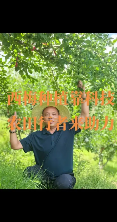 ϻ÷ʼƷô̸#÷ #ũ#ũշͬ#԰