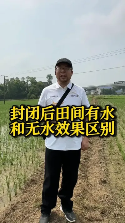 封闭后田间有水和无水的效果区别 #种之道#高产#水稻种植技术#新农人计划#封闭除草