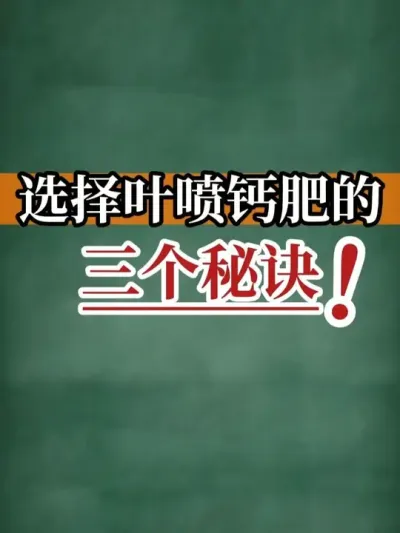 ѡҶƷʵţ #Ʒ #Ҷ #ũ #ũҵ #ũ