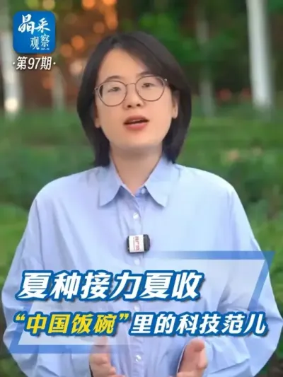 晶采观察丨夏种接力夏收 看懂“中国饭碗”里的科技范儿