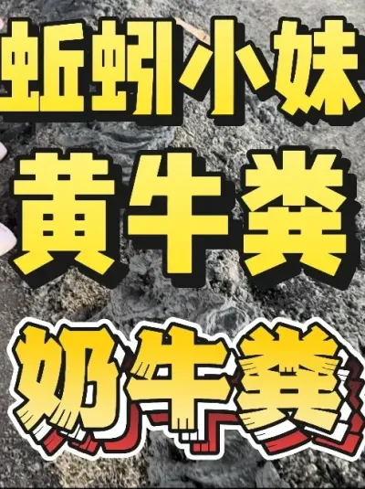 ţιţιһιţ#ֳ #ũ #ũ崴ҵ