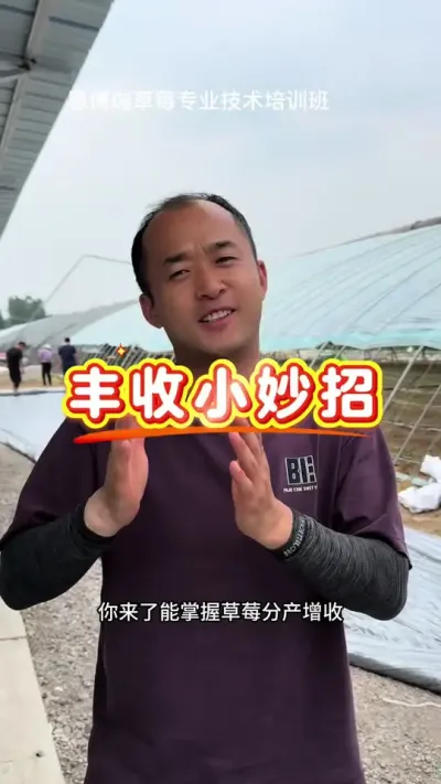 培训班开班了 想象一下你来了，会邂逅好多好多惊喜，培训班欢迎大家#草莓 #草莓育苗 #草莓技术 #草莓培训班 #草莓种植