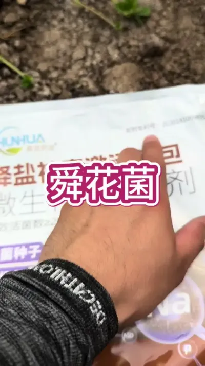 ν˴ νù#ݮ #ݮ溦 # #ݮ #ݮ