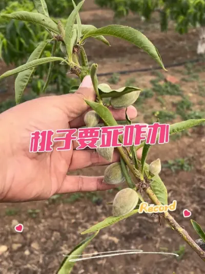 求救 大家感觉是啥原因