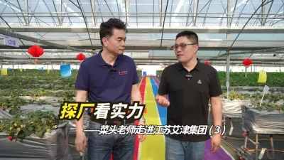 探厂看实力&mdash;探厂江苏艾津第三辑,菜头老师走进艾津集团千亩生测基地。艾津生测基地面积规模在行内首屈一指，该基地可系统完成药剂三位一体生测及30多种作物的药效试验。艾津集团董事长张申伟说：艾津研究团队没有