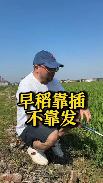 絾岻 #֮#ˮݪֲ#߲#ũ#ˮʹ