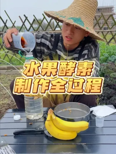 春季水果酵素如何制作？ #种植小技巧 #关注我一起学种菜 #水果酵素 #自己种的纯天然的绿色蔬菜 #家庭种植