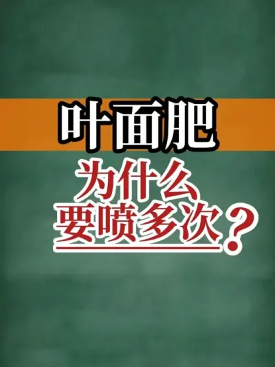 叶面肥为什么要喷多次？ #叶面肥 #新农人计划2025 #新农人 #三农流量扶持计划 #抖音助农扶农