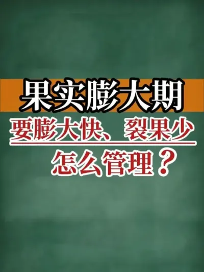 ʵҪ졢ѹô #ʵ #ѹ #ũ2025 #ũ #ũ