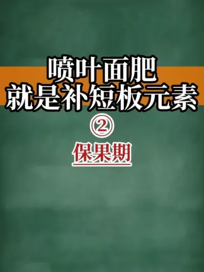 喷叶面肥就是补短板元素 2.保果期#叶面肥 #保果 #新农人计划2025 #助力三农 #抖音助农扶农