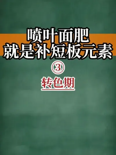 喷叶面肥就是补短板元素 3.转色期#叶面肥 #转色期 #新农人计划2025 #抖音助农扶农 #种植技术