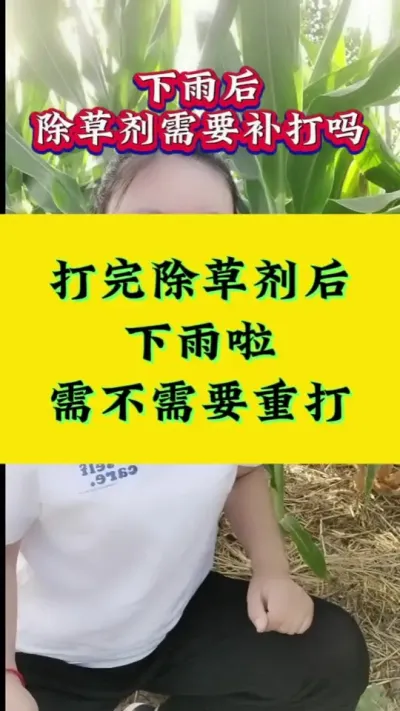 打完除草剂后下雨啦，需不需要重打#新农人计划2023 #抖音助农 #三农 #农业种植 #分享农业知识帮农民增产增收