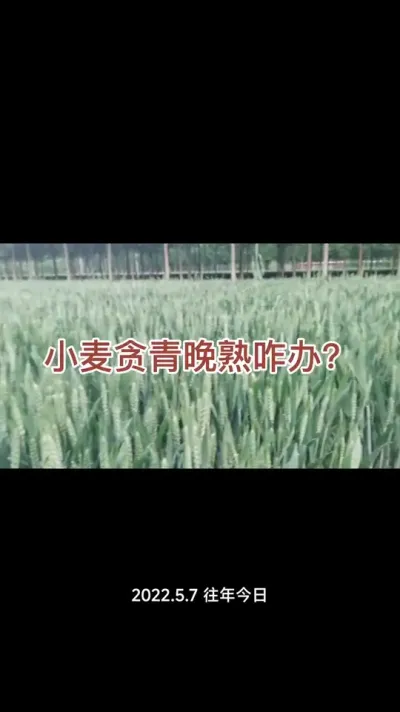 #新农人计划 #三农#农业