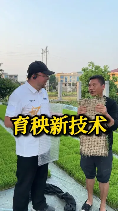 育秧新技术-大钵体毯装育秧 #种之道 #高产 #水稻种植计划 #育秧 #新农人计划