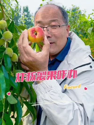 桃子到了关键期 如何防治炸核裂果#裂果 #裂果的防治 #桃子 #桃子熟了 @苗姐逛果园 @果树达人徐明举助手 y