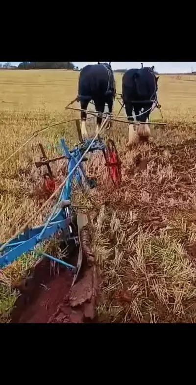 82621غ˿ # #