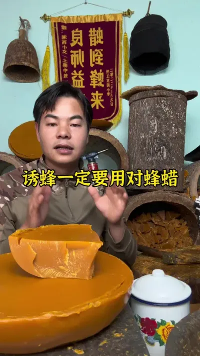 诱蜂一定要用对蜂蜡 #蜂蜡 #诱蜂 #养蜂 #养蜂技术 @抖音小助手