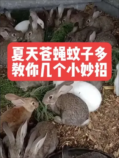ղӬӶ㼸С #ũ#ֳ###
