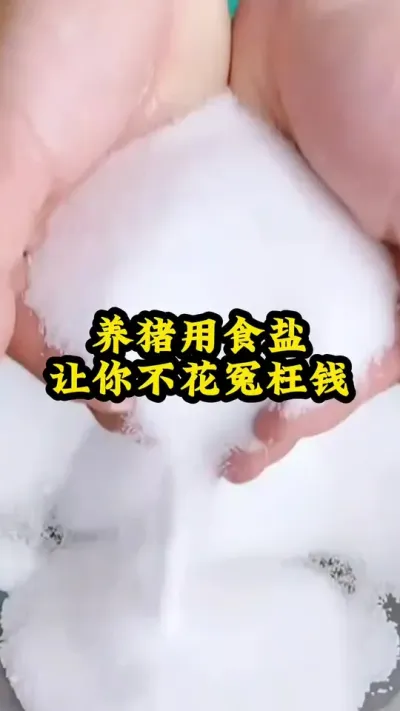养猪用食盐，让你不花冤枉钱 #养猪人 #喂猪人的日常生活不容易 #养猪人加油干 #自繁自养猪场 #猪喂什么饲料长得最快