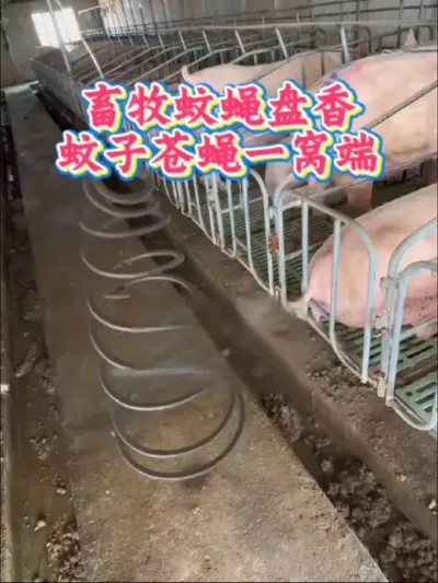 畜牧蚊蝇香，文字苍蝇都扫光#科学养鸡 #畜牧蚊香#鸡病 #养鸡