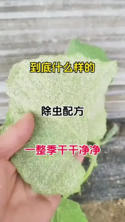 溦#ﲡ溦 #Ϲ߲˲溦 #ʭ