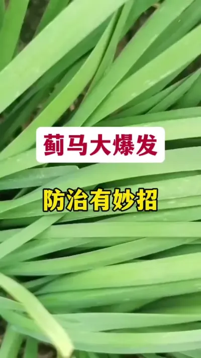 󱬷#²˼ # # #溦 #²ݪֲ