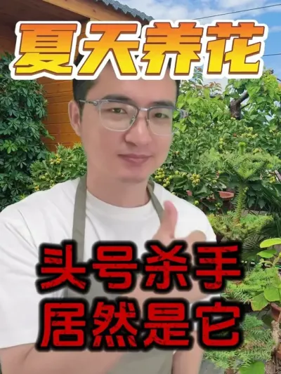 花卉绿植的头号杀手，居然是它！ #养花  #花卉绿植  #烂根药