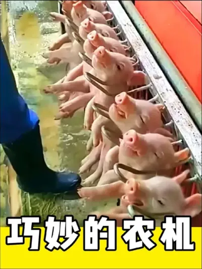 巧妙的农机具发明，太实用了#农机 #农具 #三农 #创意发明 #劳动人民的智慧