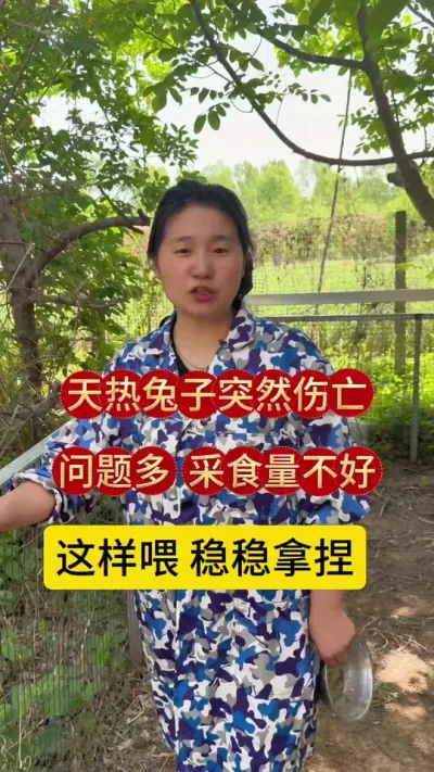 都说霍香正气水养兔好，学会搭配远离兔丙兔瘟，防暑降温#兔子 #养兔人 #养兔人 #肉兔养殖