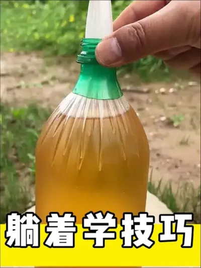 躺着学技巧#生活小妙招 #实用小技巧 #小妙招大作用 #创意发明 #小技巧