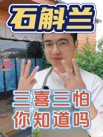 石斛兰有三喜三怕，你知道吗？ #养花  #石斛兰  #养花小知识