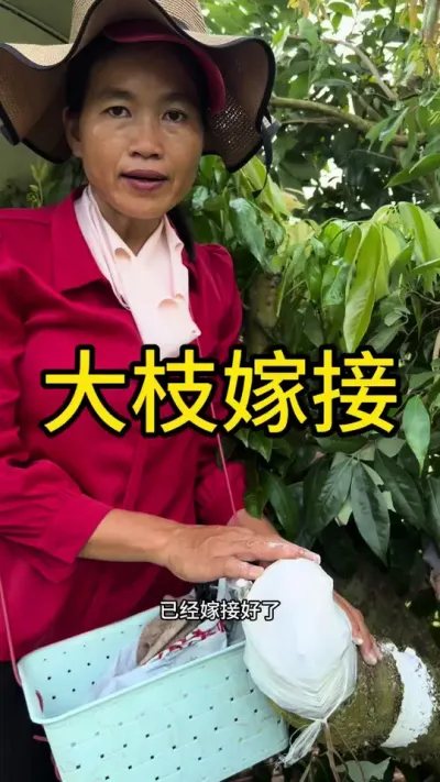 ֦޽#޽ #dou㶫 #ũ2025 #ѧũ