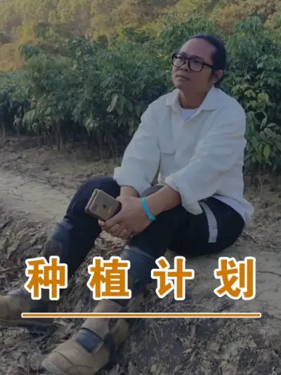 荔枝种植投资计划#广西灵山荔枝果苗#农业创业#抖音新农人计划2025#吕老师种果苗