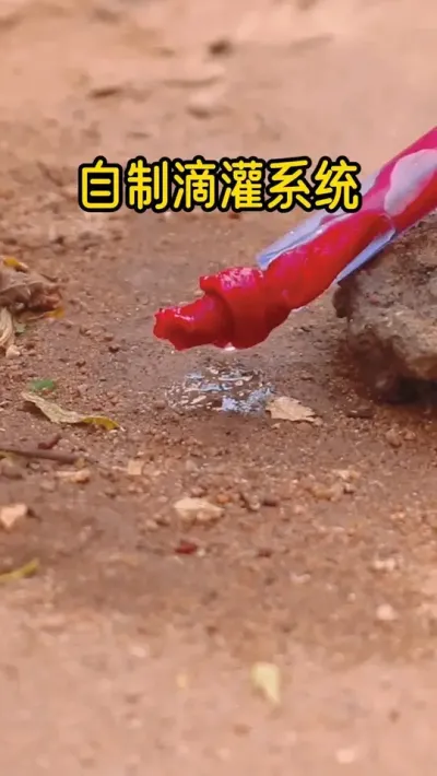 自制滴灌系统 #滴灌 #农业灌溉 #种植小技巧 #劳动人民的智慧