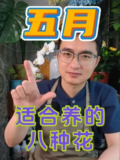 八种适合在五月养的花，看看你喜欢哪种吧！#养花 #花卉绿植 #养花小知识
