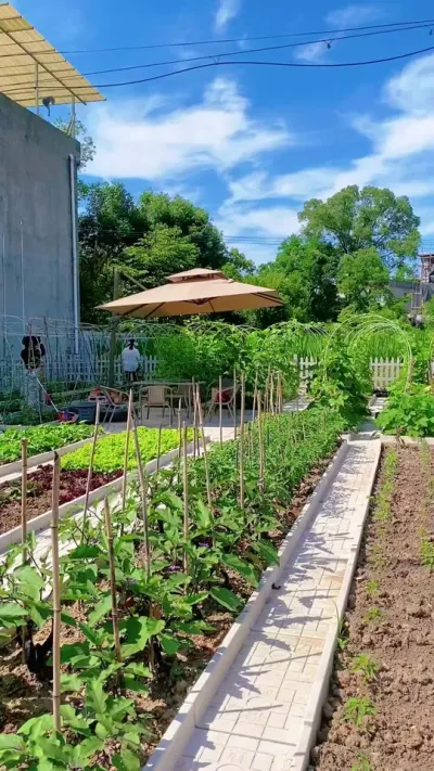 已经开始期待菜园的夏天啦，瓜果蔬菜，养眼又治愈，简单且美好#花园生活 #我的田园生活 #农村生活 #小院子 #菜园
