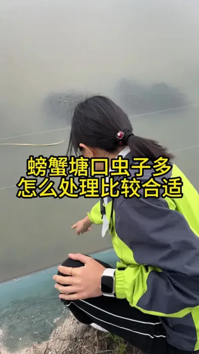螃蟹塘口虫子多，应该怎么处理比较合适！！！ #渔多多养殖模式 #新农人计划2025 #三农 #大闸蟹养殖 #螃蟹养殖