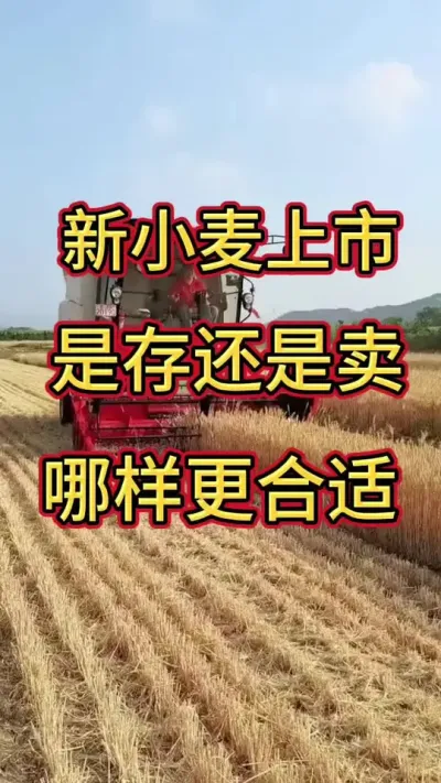 С#С #СǮ
