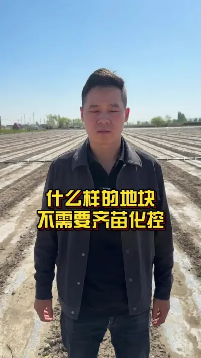 什么样的地块不需要齐苗化控？ #棉花种植专家讲座 #棉花种植技术 #关注我每天分享种植知识 @抖音小助手